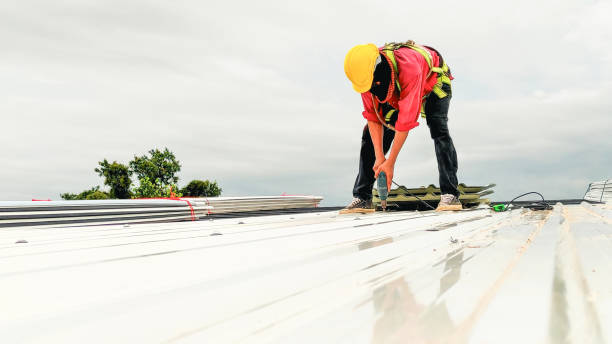 Best Gutter Installation and Repair  in Harvest, AL