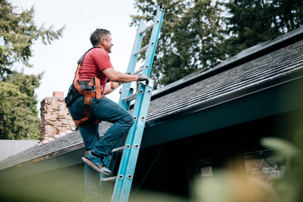 Best Gutter Installation and Repair  in Harvest, AL
