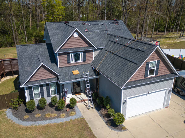 Best Roof Moss and Algae Removal  in Harvest, AL